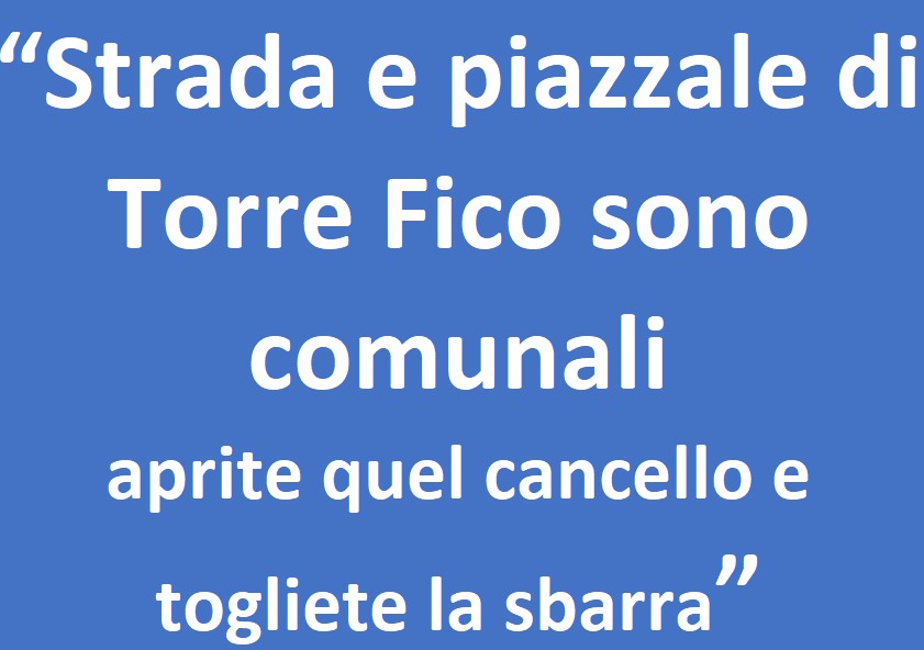 cancello Torre Fico