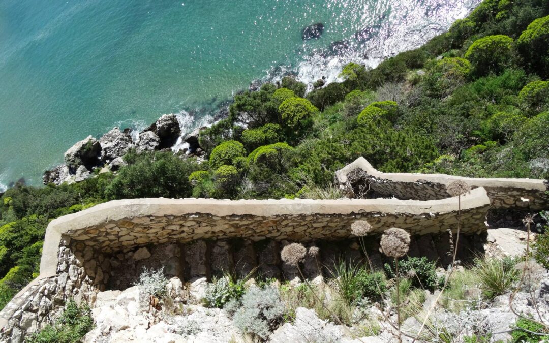 Sentiero torre fico Il fortino