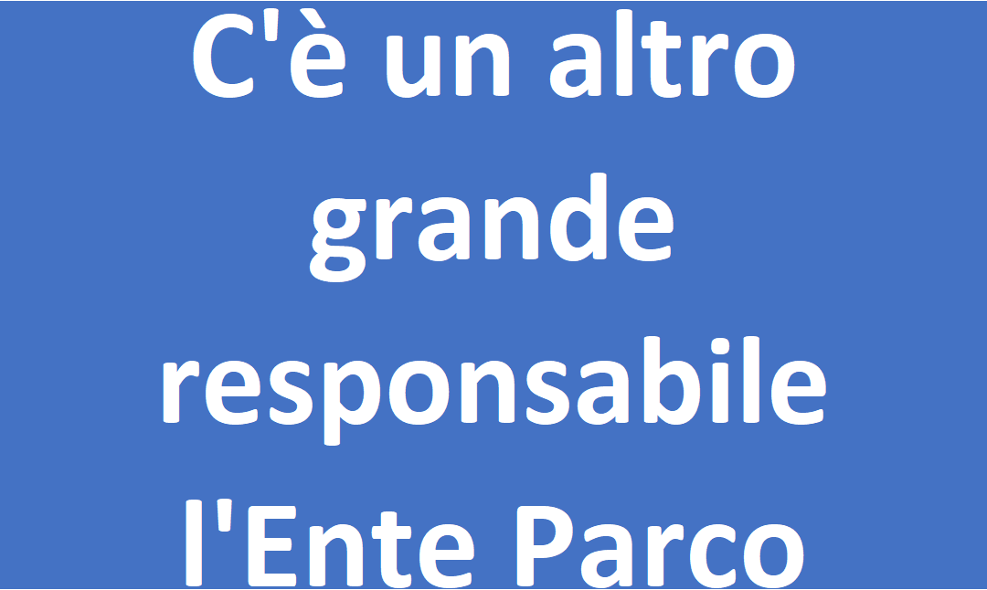 C’è un altro grande responsabile l’Ente Parco