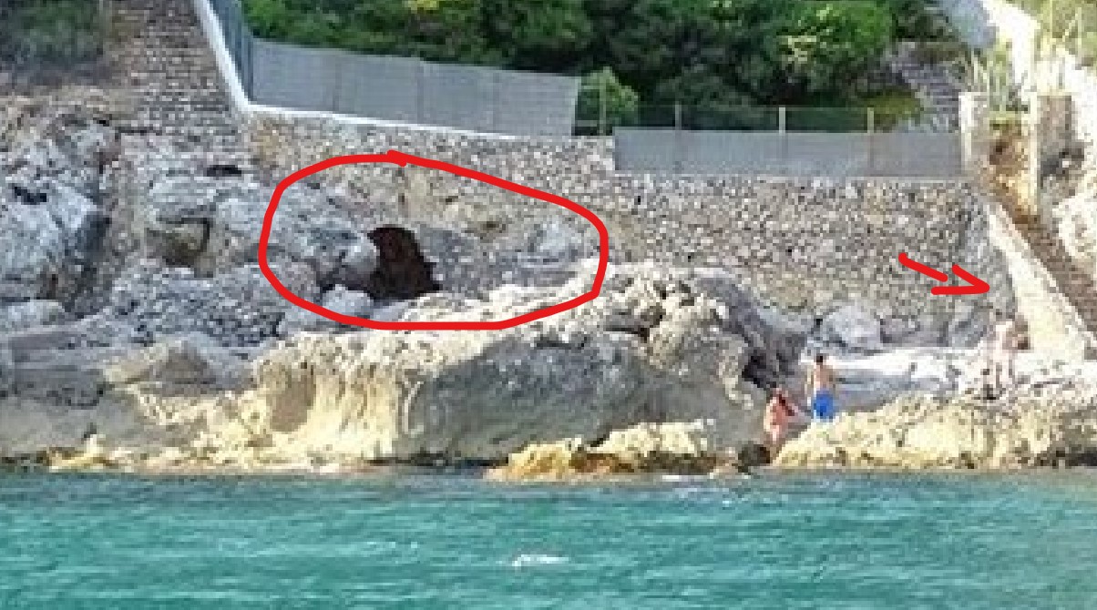 grotta delle capre video Fortino