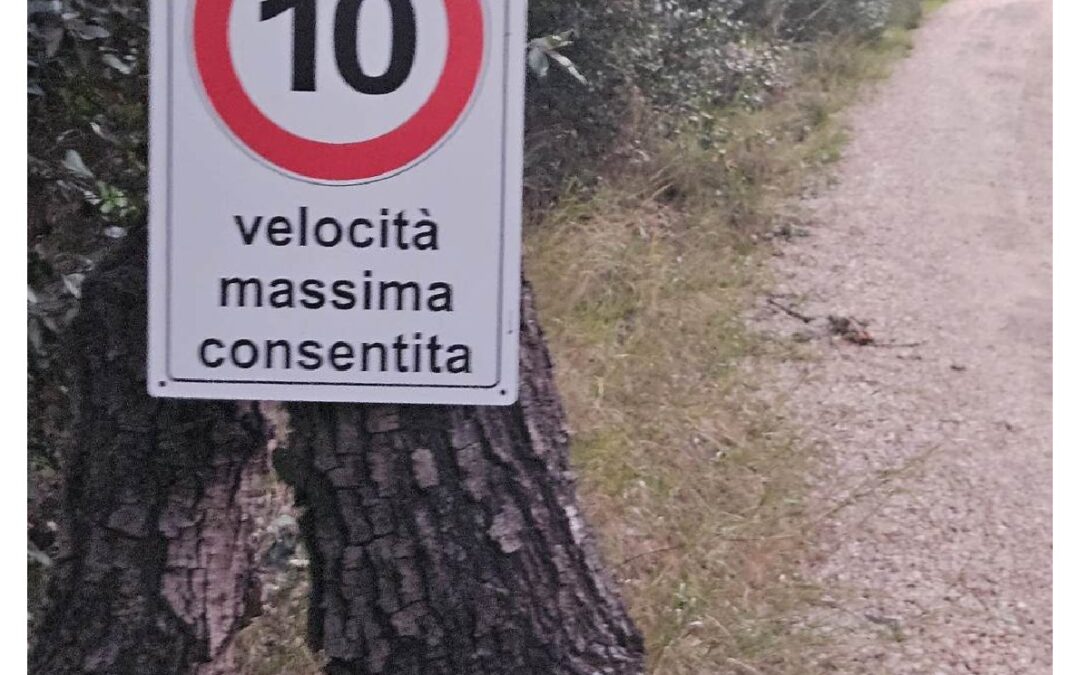 STRADA COMUNALE DELLE BATTERIE cartellonistica