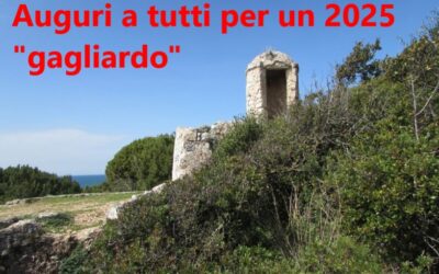 Auguri per un 2025 “gagliardo”