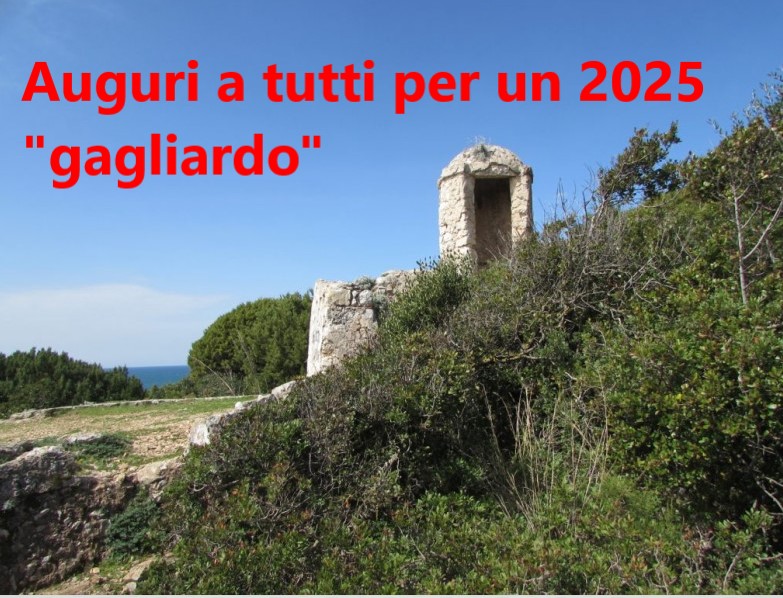 Auguri per un 2025 “gagliardo”