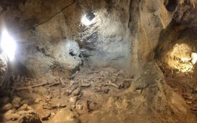 Fondazione “Città di Terracina” e gestione dei beni del Circeo e di Sabaudia: criticità di merito e di metodo. Approfondimento