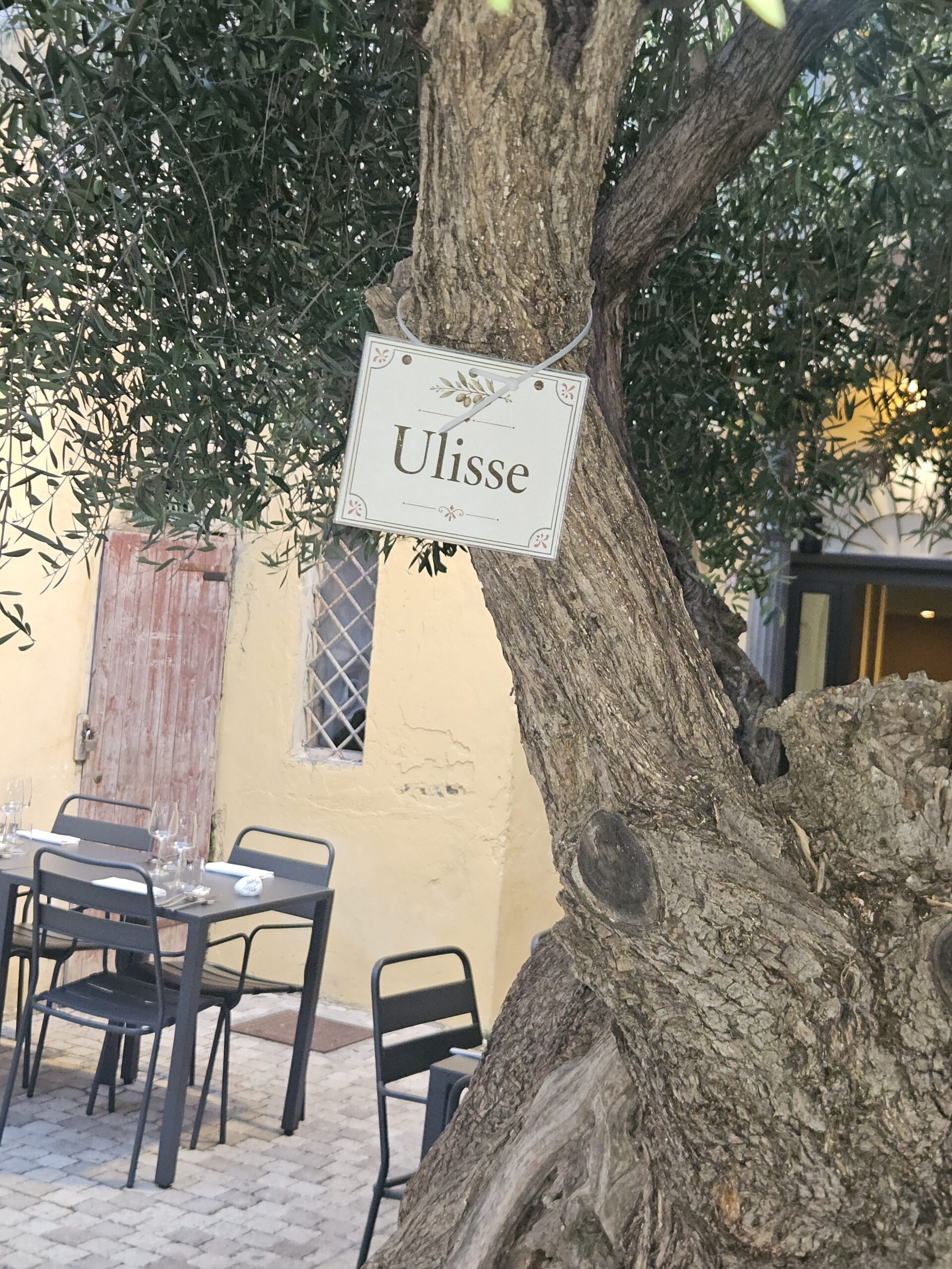 leccio della Ringhiera