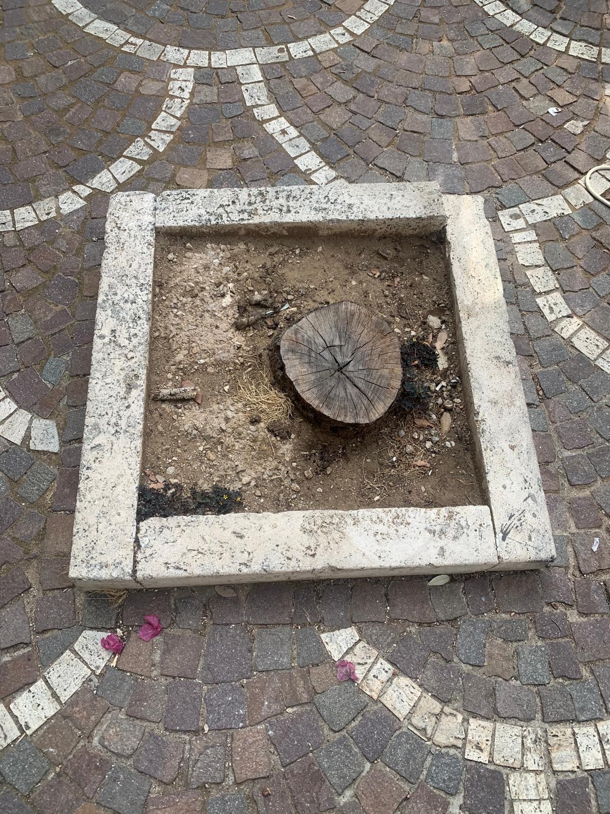 Un altro pezzo di spazio pubblico – patrimonio della collettività – sacrificato, apparentemente senza alcuna spiegazione.